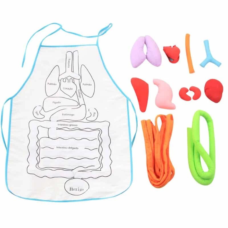 Anatomy Apron Human Body Organs Educational Insights Human Organs Home Apron Aids Toys For Children Body Teaching: Portuguese