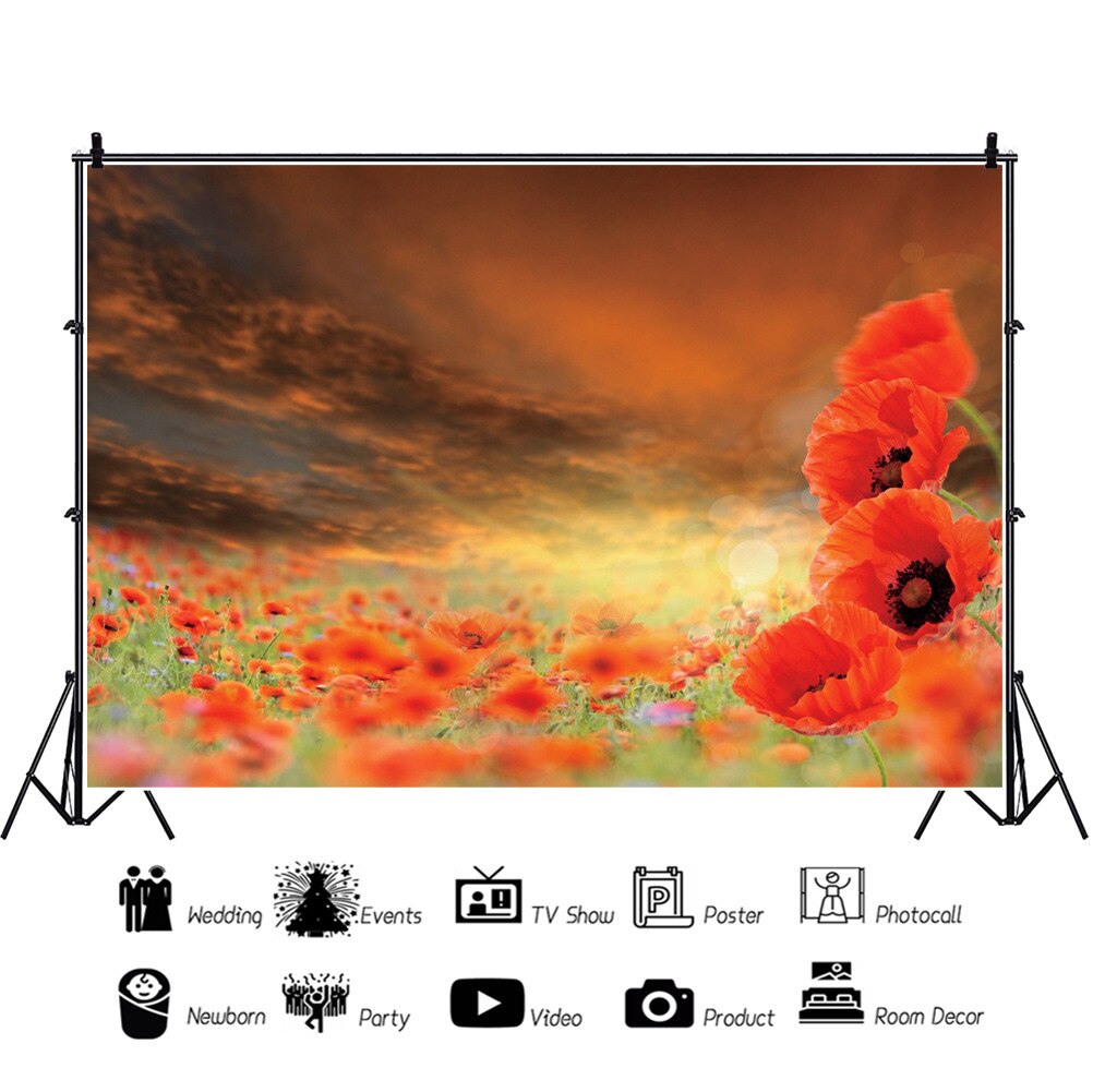 Beautiful Red Flowers Sea Photography Background Photo Booth Studio Decor