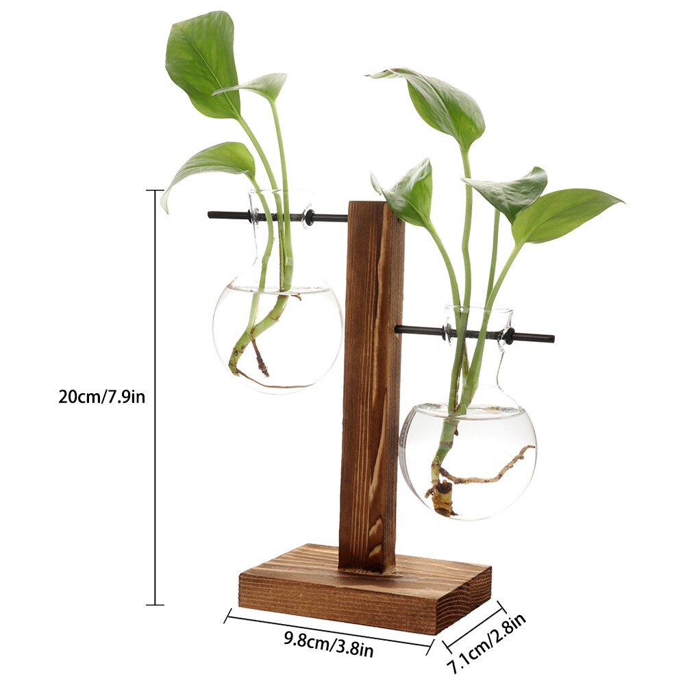 Rahmen Glas Vase Terrarium Hydrokultur Liefert Ornamente Dekoration Tabletop Pflanzen Hause Bonsai Zubehör Terrarium Vasen: B