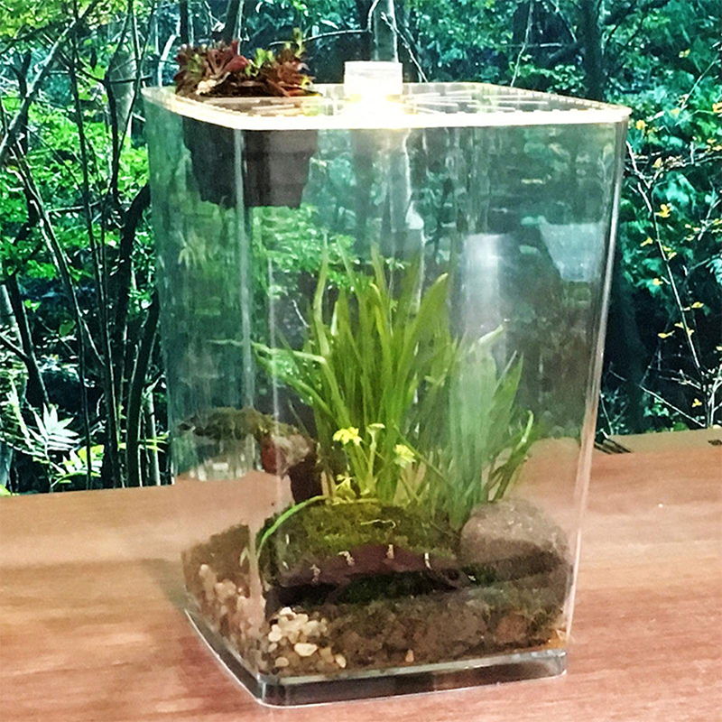 Reptile Led Light Breeding Box Transparent Lizard Kennel Amphibians Anti-Escape Cage Acrylic Insect Spider Scorpion Habitat