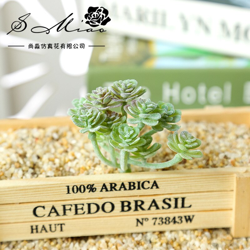 Sztuczna flokowana sukulenty DIY robić przydomowego ogrodu biuro dekoracje ślubne mini bonsai Plante wesele roślina dekoracyjna: xianrenke ZR zielony