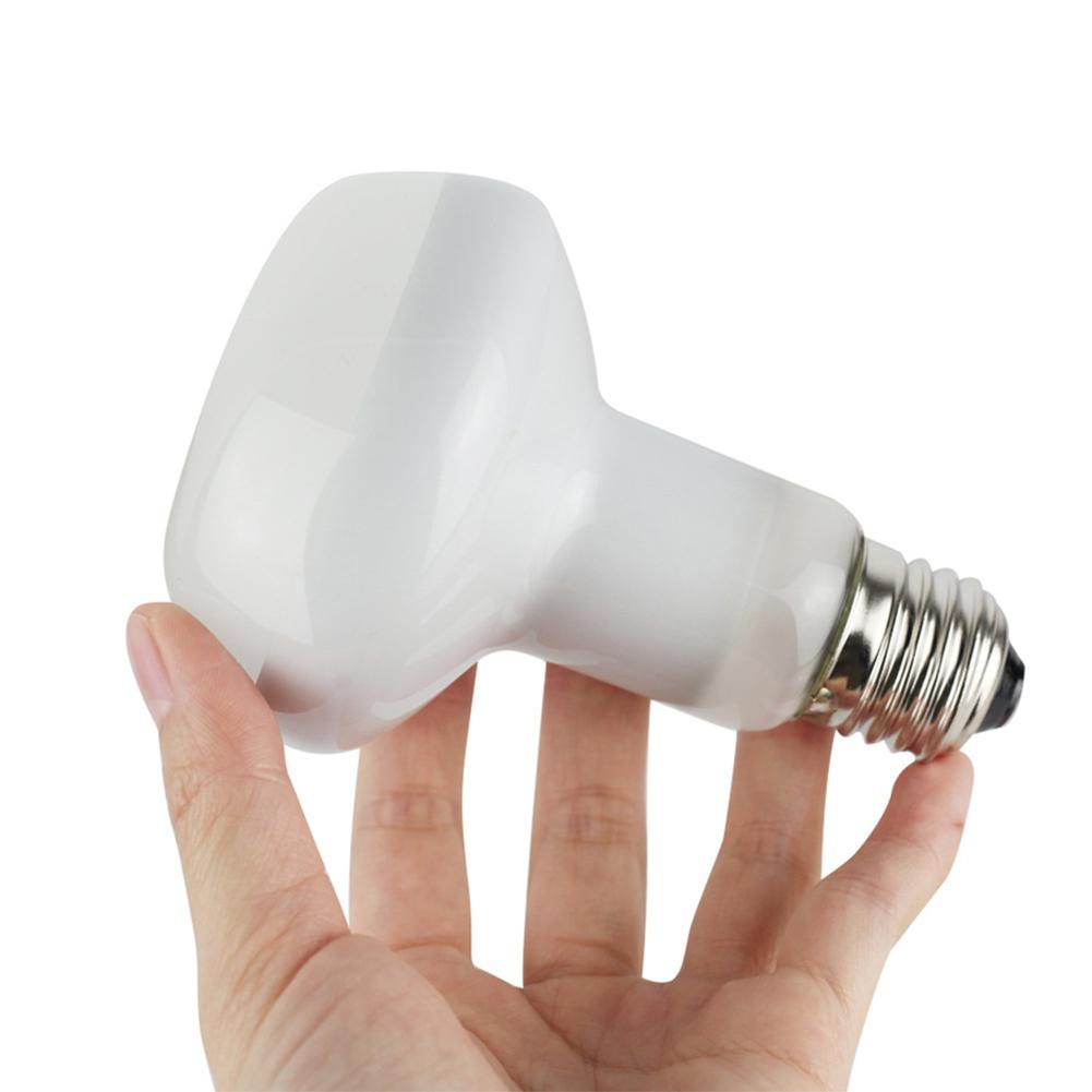Lampe 60w/75w/100w 220-240v e27 til dyr fugle padder wolfram glødelampe