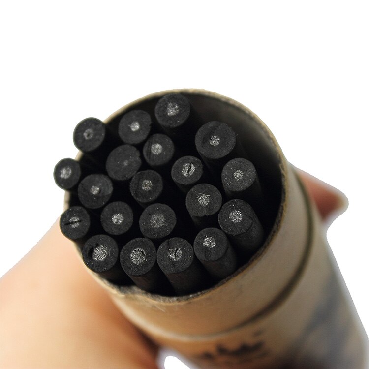 20 unids/pack dibujo suministros tamaño Willow carbón Bar artista crayones de arte pintura profesión lápices boceto
