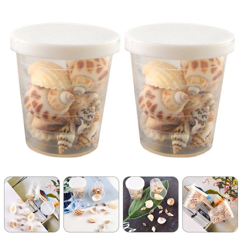 2 Boxes Sea Shells Beach Conchs Jewelry Accessorie... – Grandado