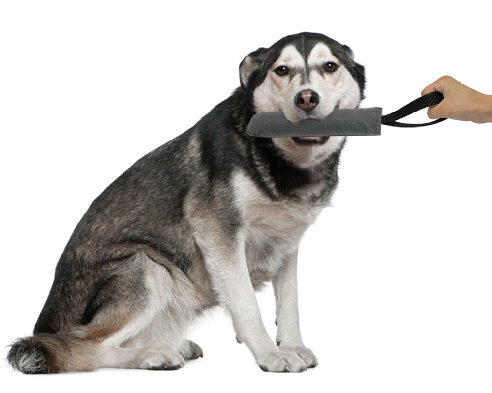 Addestramento del cane morsi per morso cuscino per morso di animale domestico manicotto per morso di cane in iuta per addestramento giovane pastore tedesco mal"rottweiler