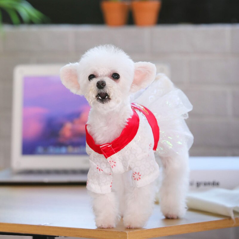 HOOPET-vestido de verano para perro, disfraz de perro, ropa, vestido, falda para perro pequeño, ropa de cachorro mascota