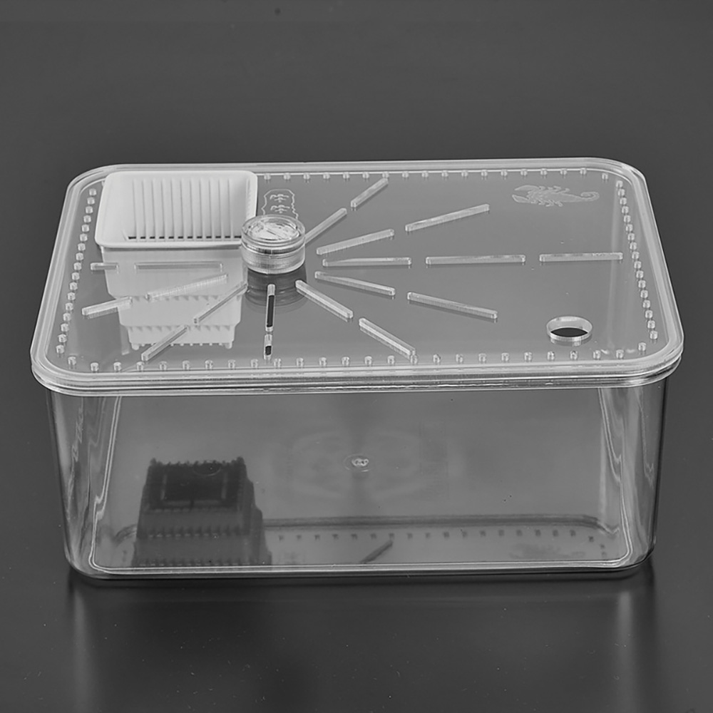 Small Desktop Reptile Box Transparent Plastic Acrylic Reptile Breeding Box Spider Scorpion Small Pet Hatching Breeding Box: Default Title