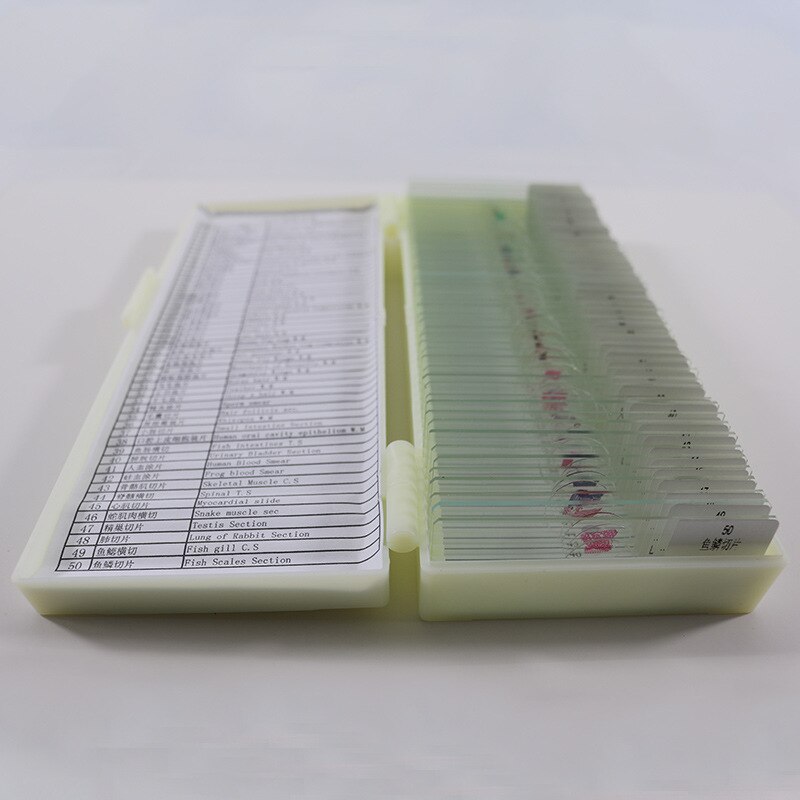 50 pieces of biological section set Chinese and English labels microscope biological section specimen set biological slide