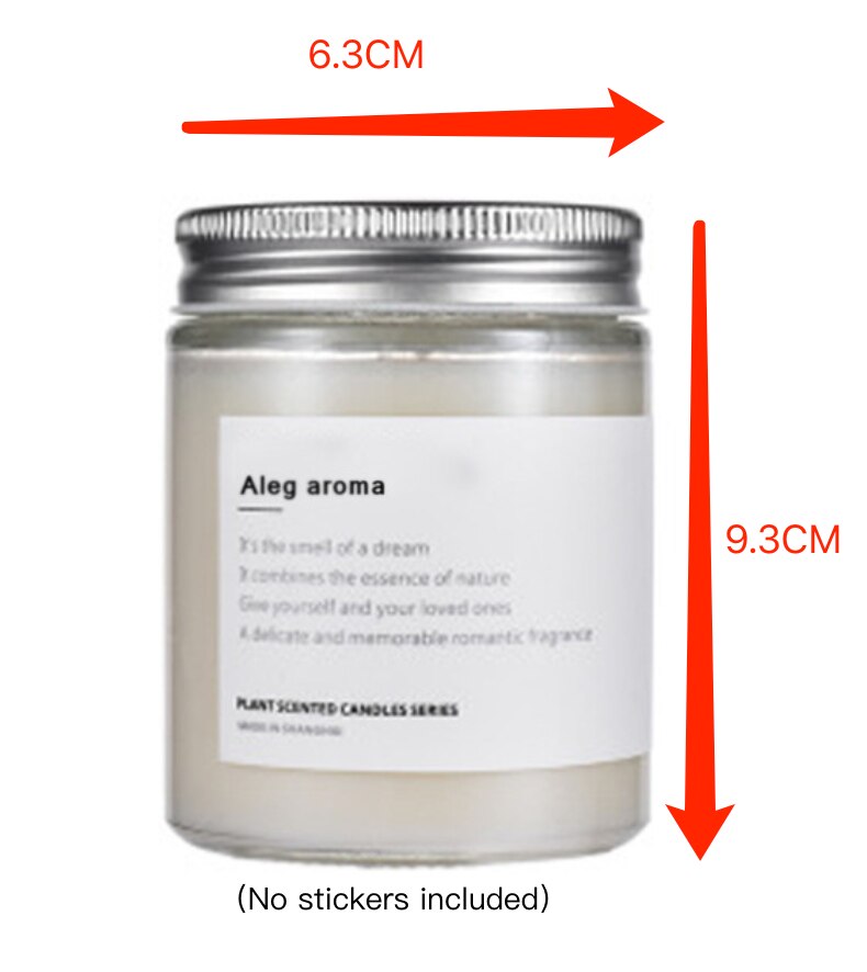 Contenedor de fabricación de velas de aromaterapia artesanal, vela de aromaterapia casera, tarro de vela blanca, taza de vela de nicho, frasco de vidrio, Cactus