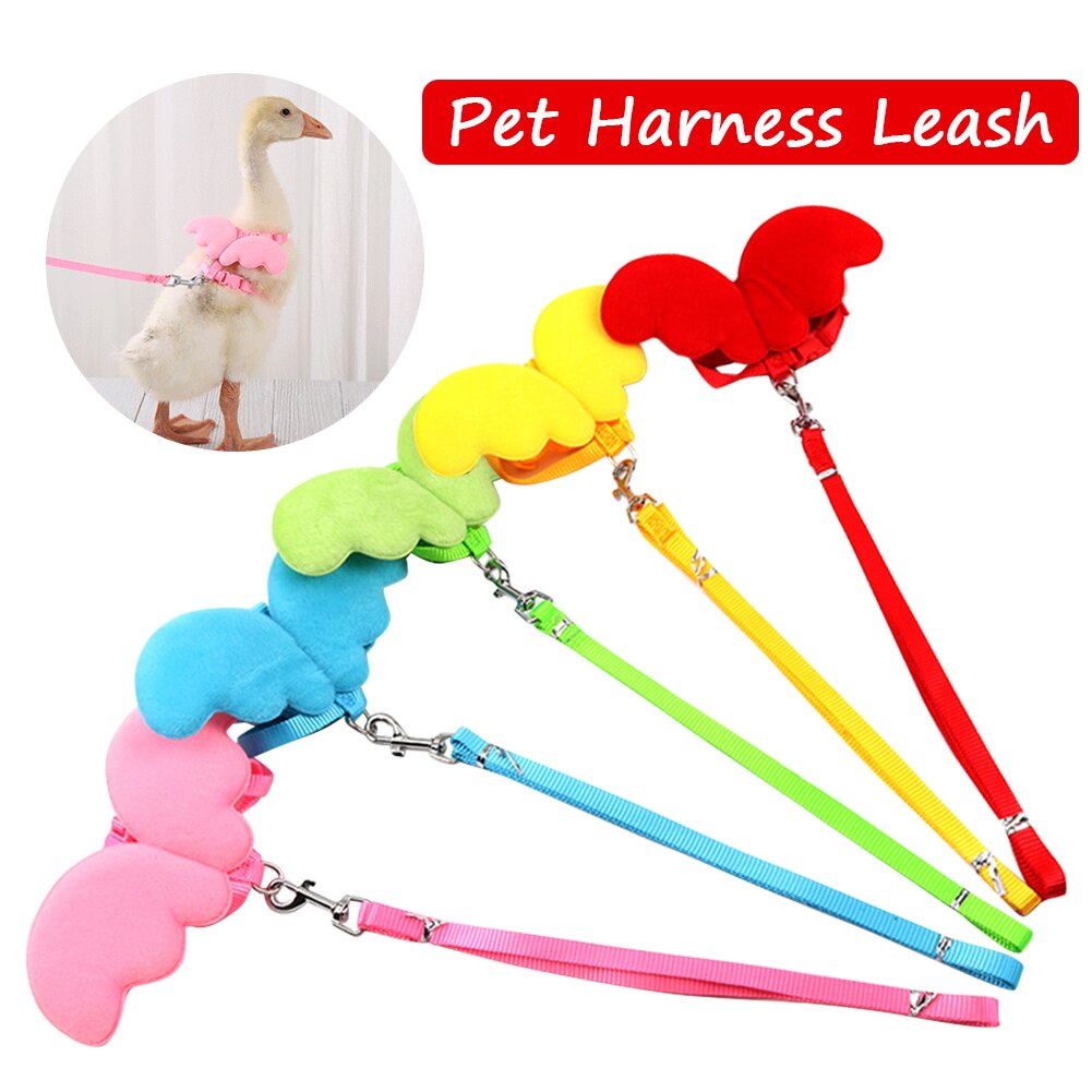 Correa transpirable para gatos, conejos, patos y aves de corral, arnés para mascotas con entrenamiento a juego para caminar, ganso y pato