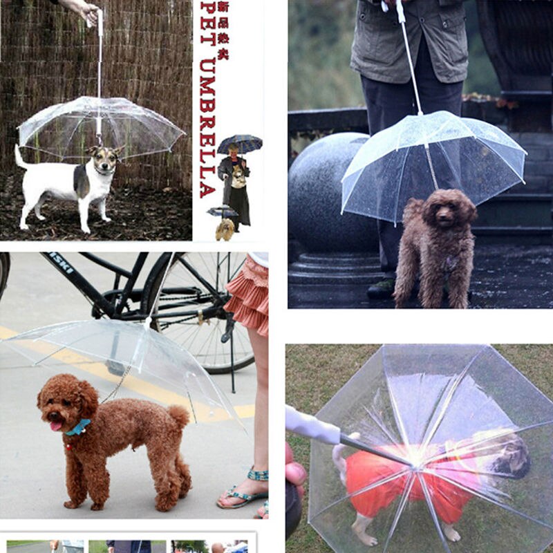Limiet 100 Transparante Paraplu met Ingebouwde Leiband Hond Puppy Droog Comfortabel In Regen