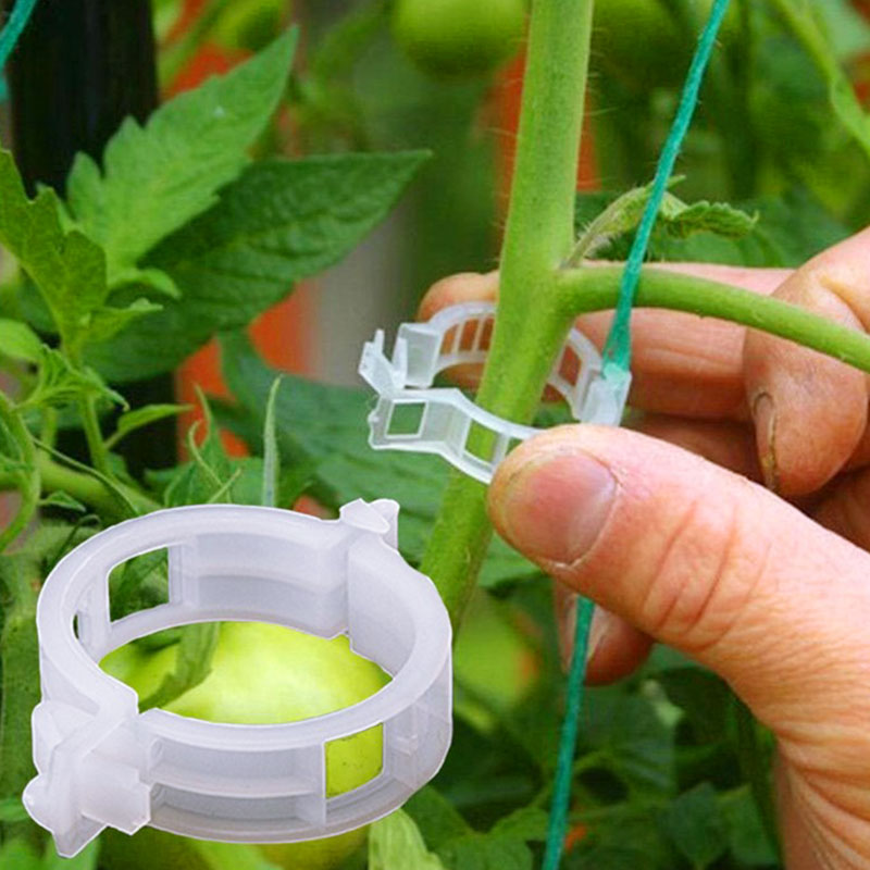 50 stk. plastik plantevinklemmer, der forbinder tomatgrøntsagsklips espalier beskyttelse podning fikseringsværktøj garnplanter