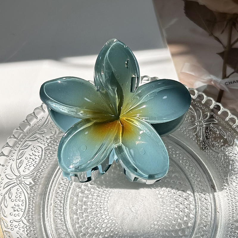 Pinces à cheveux fleur pour femmes, grande pince à cheveux bohème, épingles à cheveux, barrettes pour filles, accessoires pour cheveux de plage, vêtements de sauna, ,: Plaqué zinc noir