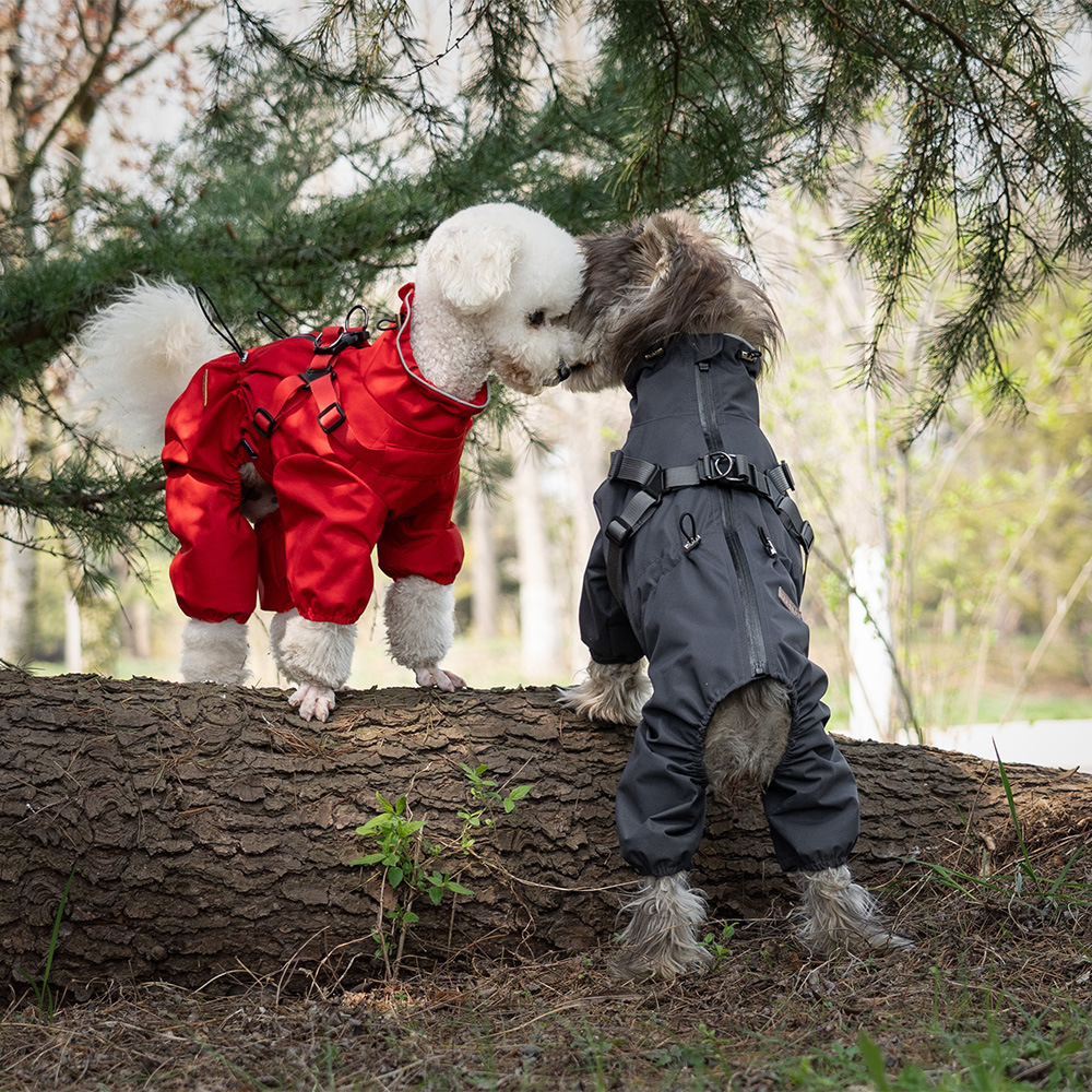 Dog Raincoat with Harness Waterproof Pet Rain Jacket for Small Dogs Adjustable Reflective Dog Rain Overalls with 4 Legs