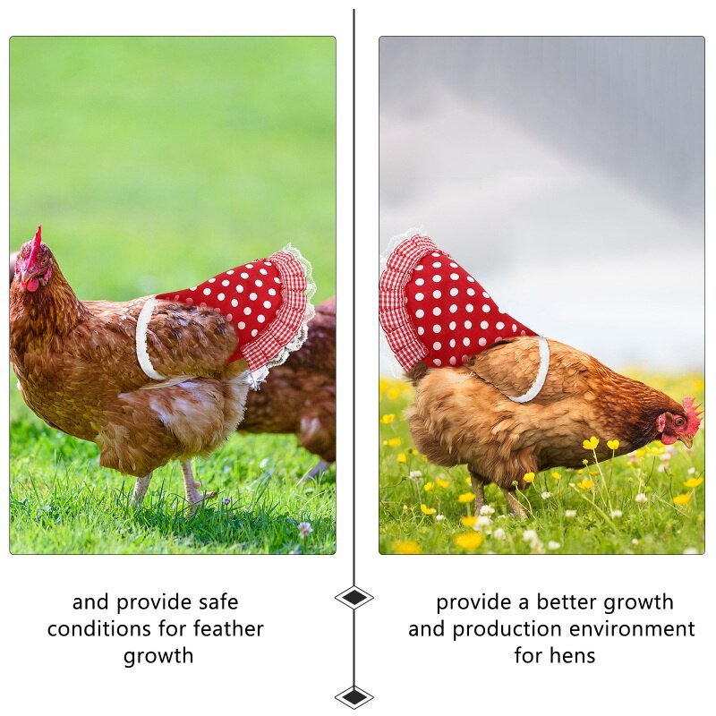 Tablier élastique en forme de plume pour poule, 11 Styles, petit accessoire de Protection en forme de coq, Protection de queue, en selle de poulet