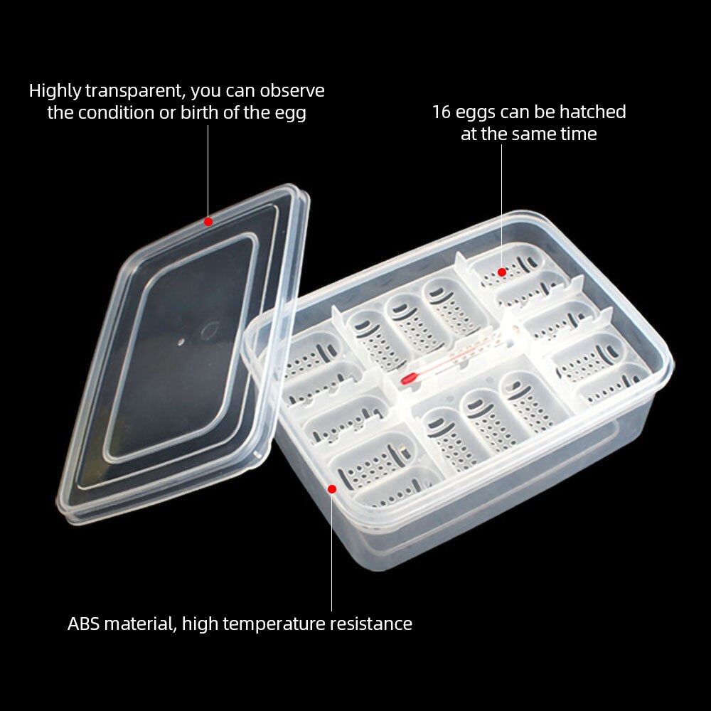 Reptile Incubation Box Suitable for Hatching Snake Lizards Reptiles with Thermometer Reptile Egg Box Reptile Breeding Box
