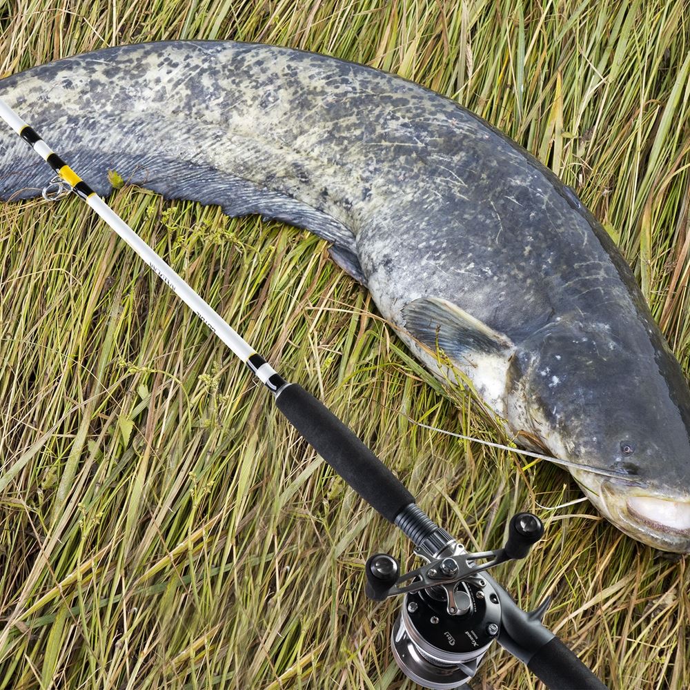 Goture RAIDERR 2-Sections Casting Rod Catfish Rod 2.13m 2.28m M Fishing Rod For Lake River Carp fish Fishing Tackle