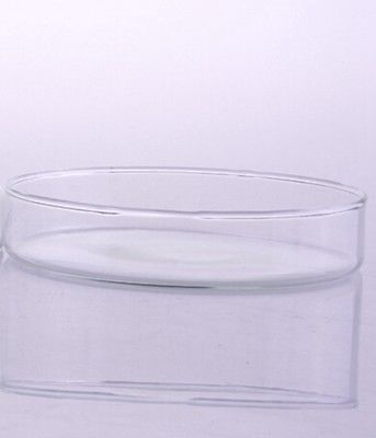Assiette réutilisable de culture des tissus en verre 100mm, assiette avec couvercle pour laboratoire de chimie