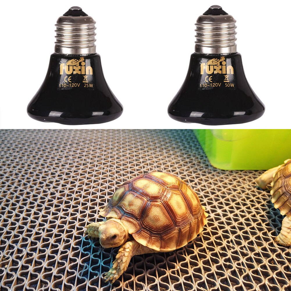 Emisor de luz de calor, calentador de bombillas, Mini infrarrojo para lagarto araña para caja de reptiles, lámpara de calefacción para mascotas de 25/50/75/100W