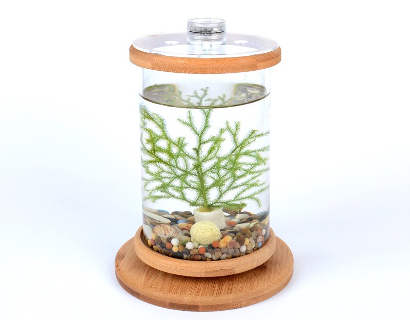360 grad Rotierenden Glas Betta Fisch Panzer Bambus Basis Mini Aquarium Dekoration Drehen Fisch Schüssel Aquarium Büro Zubehör: C