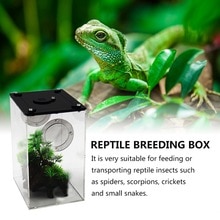 S/L Reptile Feeding Box Transparent Panorama Insect Breeding Box Snake Spider Lizard Breathable Reptile Breeding Container