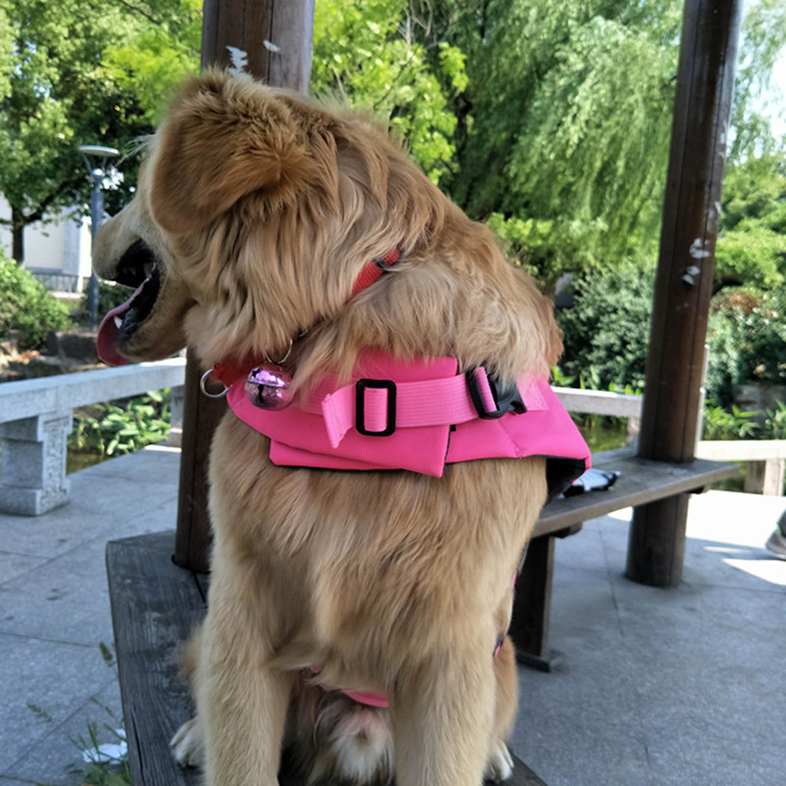 Pet Life Jackets Pet Floatation Vest Dog Swimming Saver Vest Life Preserver for Water Safety at The Pool Beach Boating W