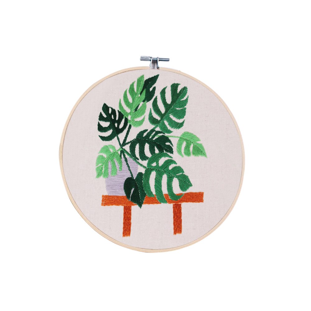 Circle Embroidery Kits, Embroidery Set, Needlework Embroidery, Cross Stitch Kits, Embroidery for Beginner, DIY Art Sewing Craft: B 3