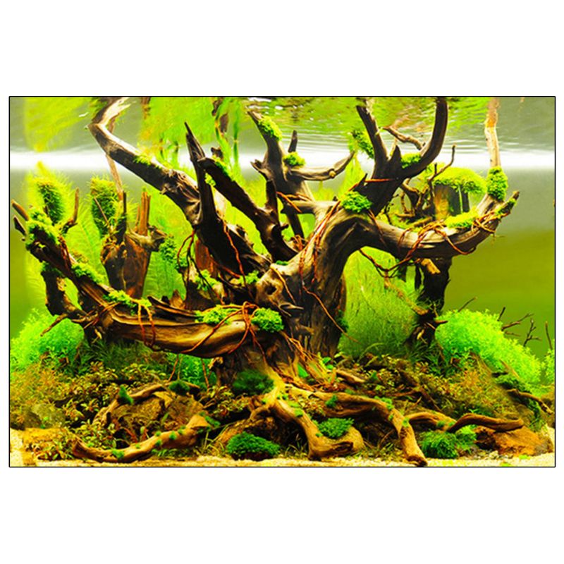 Fish Tank Background Painting Paper 3D Double-sided Ocean Landscape Poster Decorative Stickers Aquarium Decals 85WC