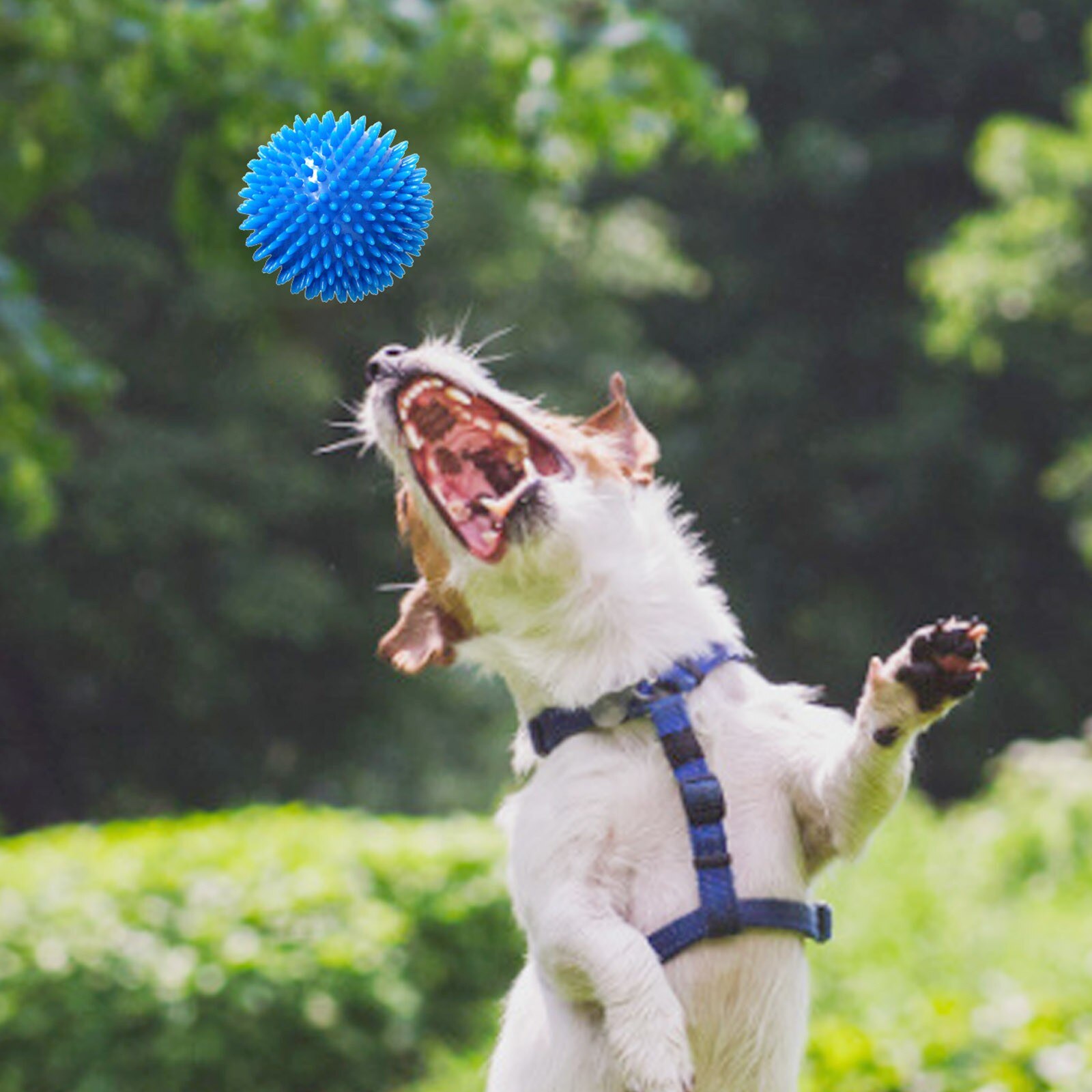 25 # Hond Speelgoed Voor Grote Hond Met Vorm Hond Sleepboot Interactief Speelgoed Huisdier Speelgoed Bal Interactieve Kat Hond spelen Kauwen Ballen Speelgoed