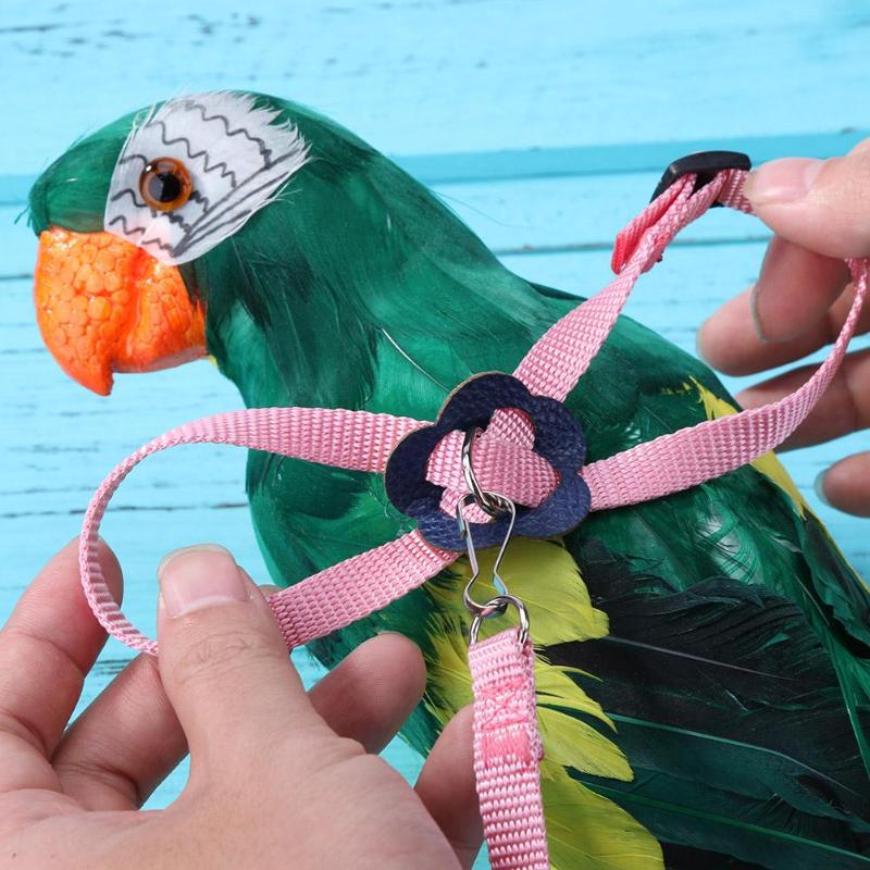Papegøje fuglesnor anti-bid flyvende træning reb papegøje fugl kæledyr snor kits ultralet sele snor blød bærbar kæledyr legetøj