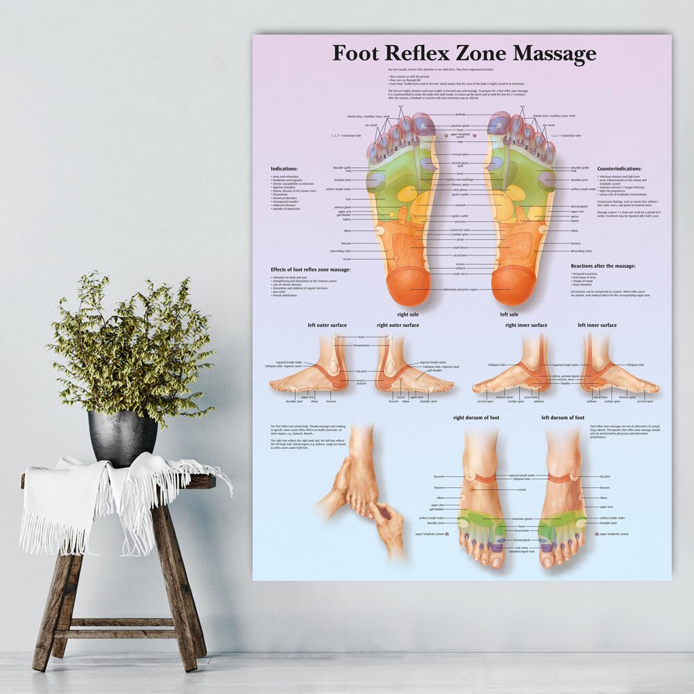 Anatomie Van Voet Anatomisch Grafieken Posters Anatomie Grafiek Voet Reflex Zone Canvas Muur Pictures Medische Onderwijs Artsen Kantoor