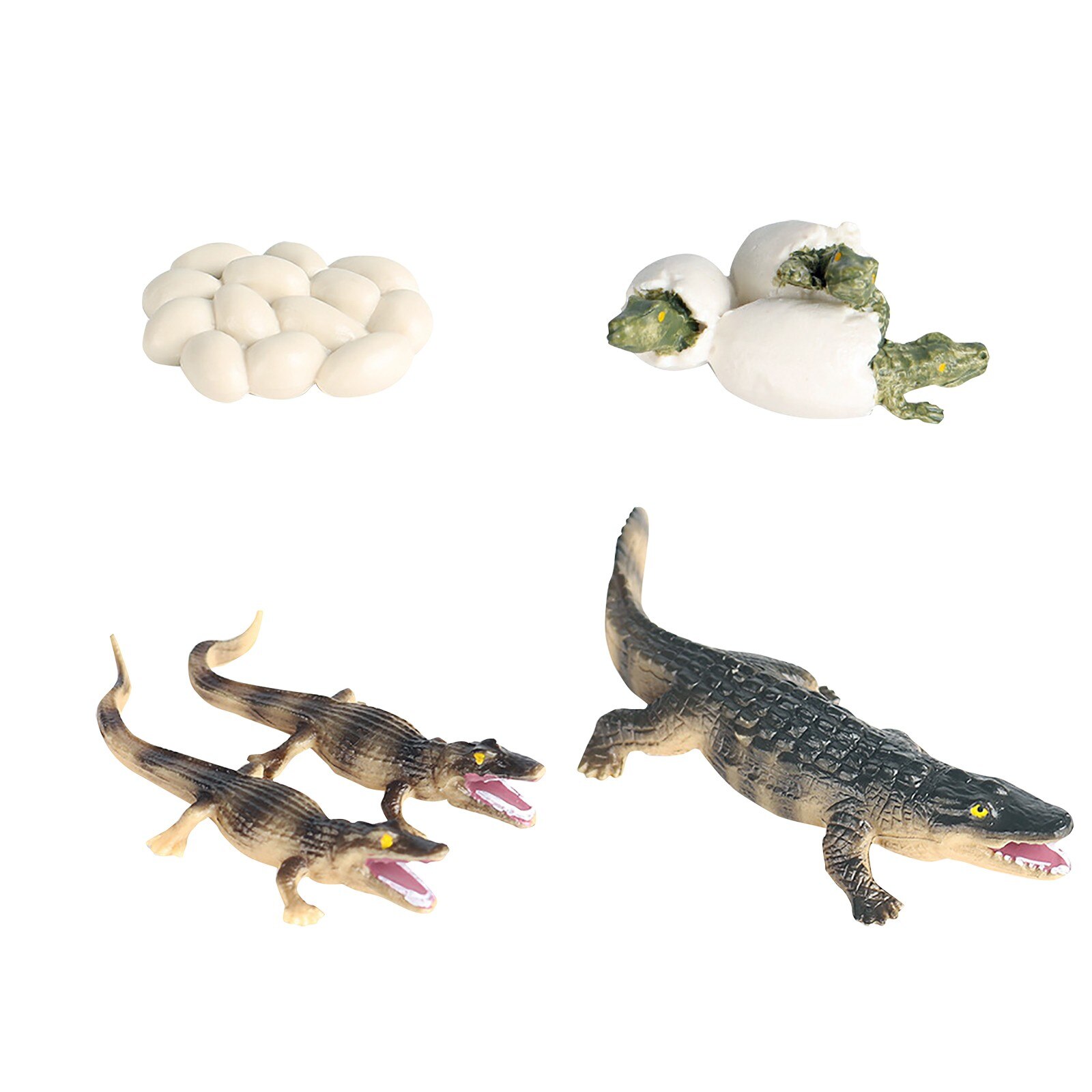 Animals Growth Cycle Life Cycle Model Set Frog Ant Mosquito Sea Turtle Simulation Model Action Figures Teaching Material: L