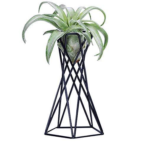 Soporte de planta Pentagonal con antorcha de piña de aire, mesa, recipientes para plantas de Metal, bastidores para flores de hierro geométricos irregulares, decoración del hogar