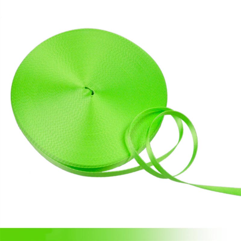 45meter Meetee 10mm Bunte Nylon Gurtband Band Straps Bias Band für Handgemachte Arbeit Karten Strap Kleidung Nähen Zubehör: FluorescentGreen