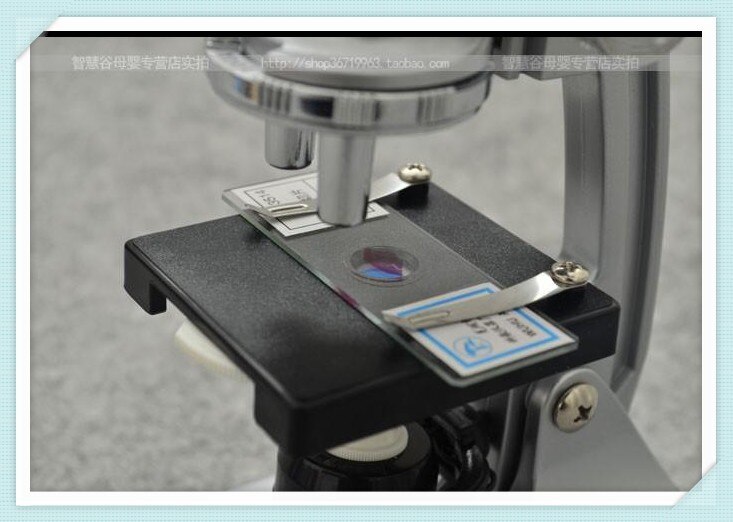 Educational Illuminated Microscope 100x, 400x, 900x Children Microscope for Kids To Learn Science Christmas Birthday