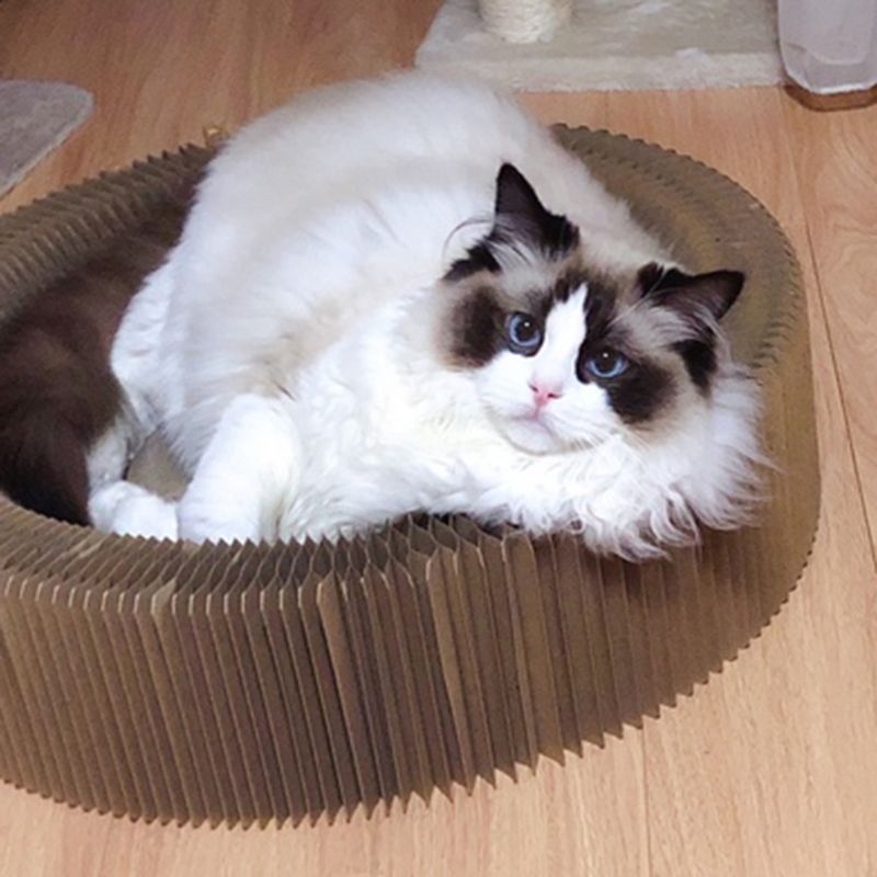 Golfkarton Cat Scratcher Lounge Bed Slaapbank Met Catnip Voor Kitten