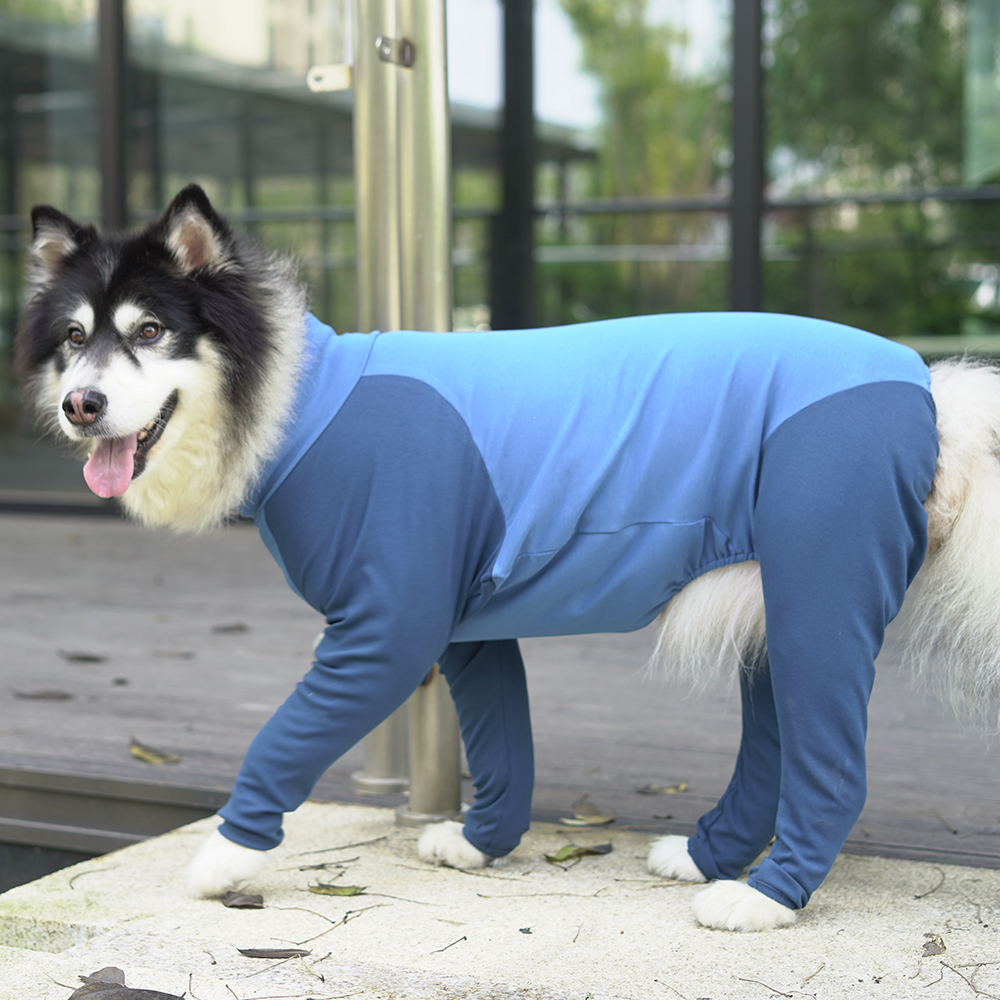 Monos a la para perros grandes, ropa de cuatro patas para perros Golden Retriever de Hawai, Mono para primavera y otoño