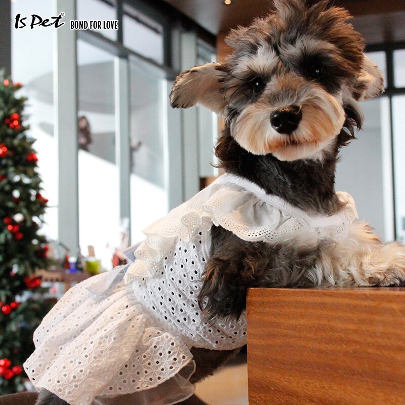 Ropa de perro Francais, tutú para gato, mascota, perro, boda, Blancanieves, vestido de lujo, ropa bonita para perros pequeños, niña, Pomerania Shih Tzu