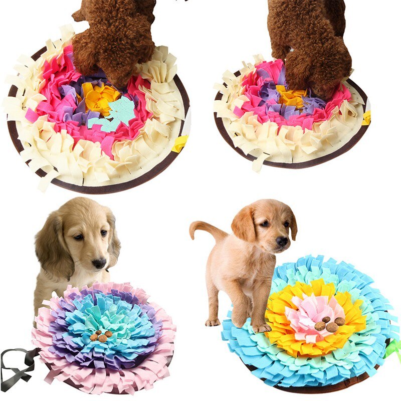 Dog Brains at Work – privélessen en workshops Hersenwerk voor Honden, Hersenwerkspellen