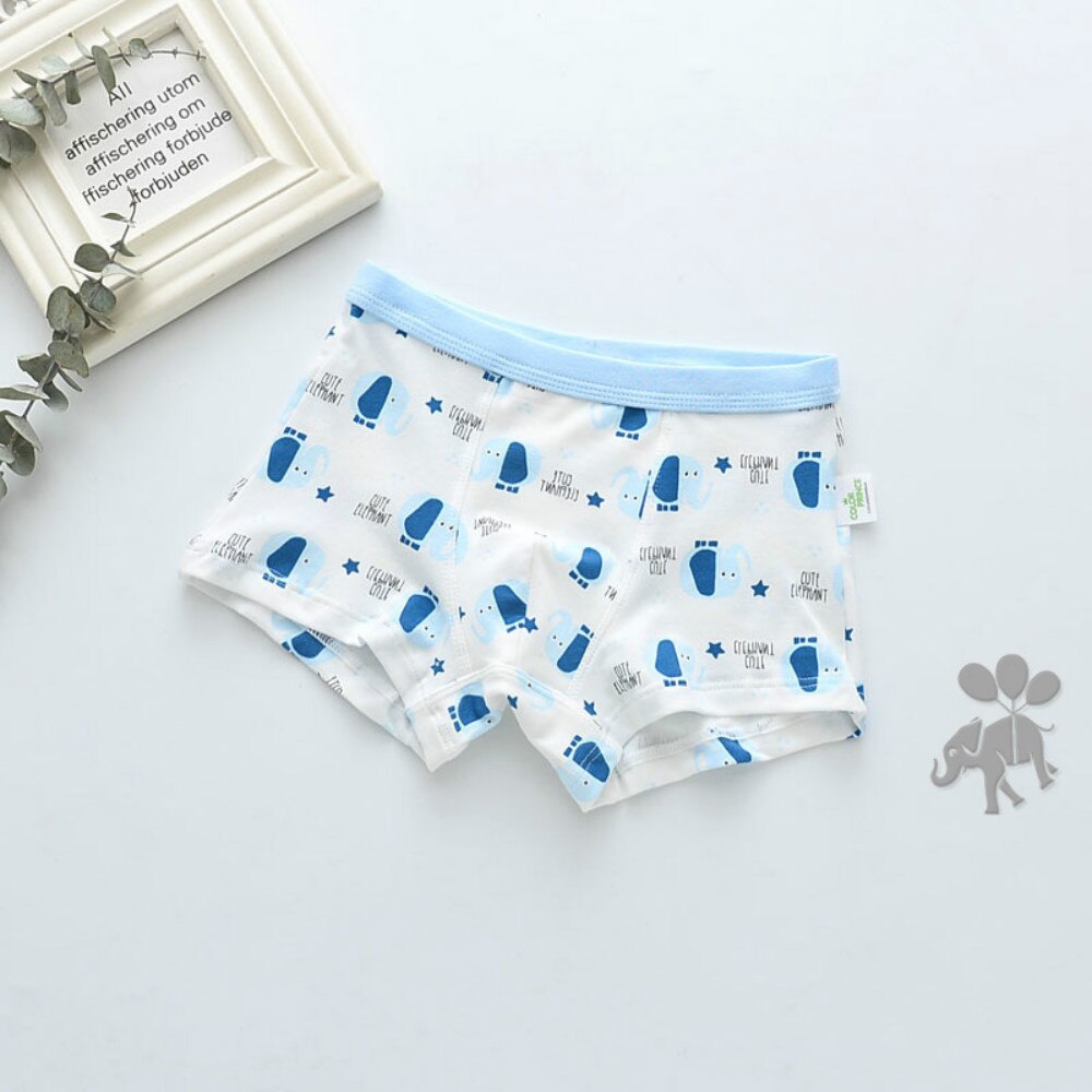 Pojk boxershorts i bomull 2 par
