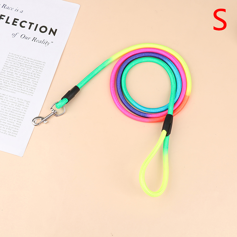 1Pc Nylon Rainbow Pet Dog Leash Walking Training Leash Cats Dogs Harness Collar: A