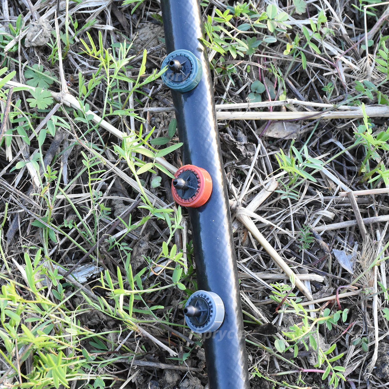 SPRYCLE 200X Tuin 2L 4L 8L Drukcompenserende Emitter Regulator Druppelirrigatie Vaste Stroom Druppelaar 4/7mm Slang Kas