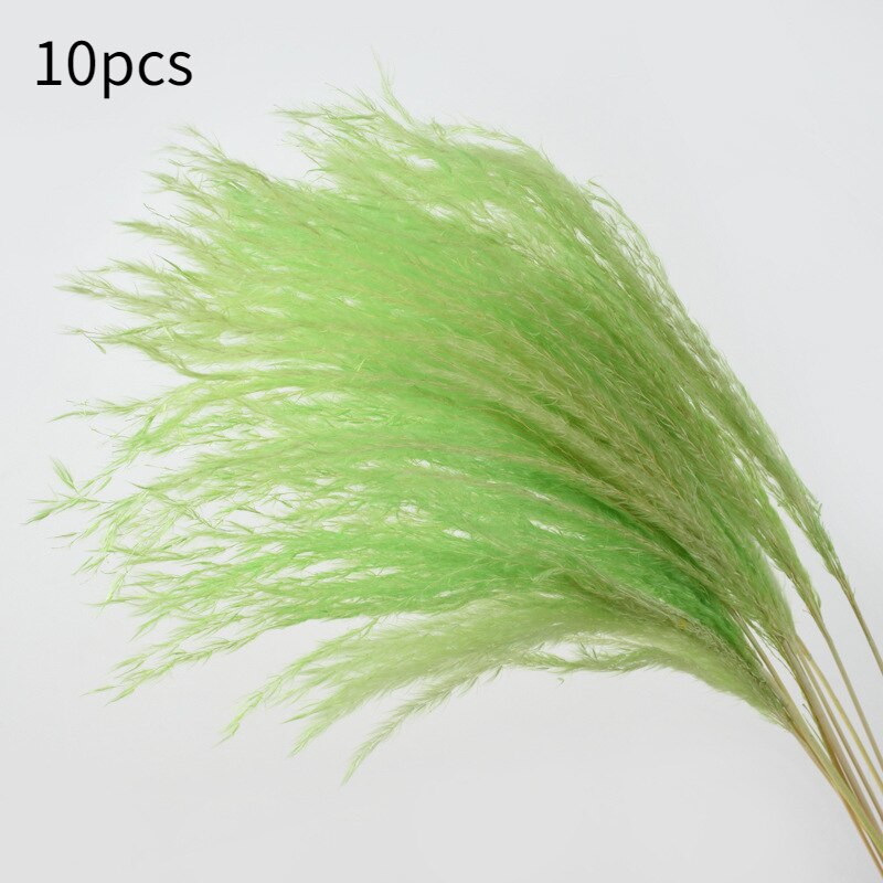 10Pcs Dry Dried Small Pampas Grass Flowers Pantas Artificiales Para Decoracion Real Plants Home Decor Wedding Decoration: small green