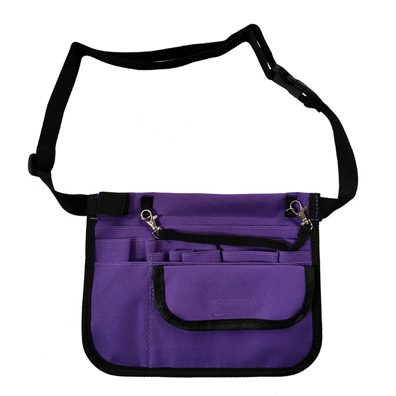 Heuptasje Verpleging Riem Organisator Voor Vrouwen Verpleegkundige Heuptas Schoudertasje Verpleegkundige Organisator Riem Heuptas Pouch Case Verpleegkundige Schort: Sky Blue