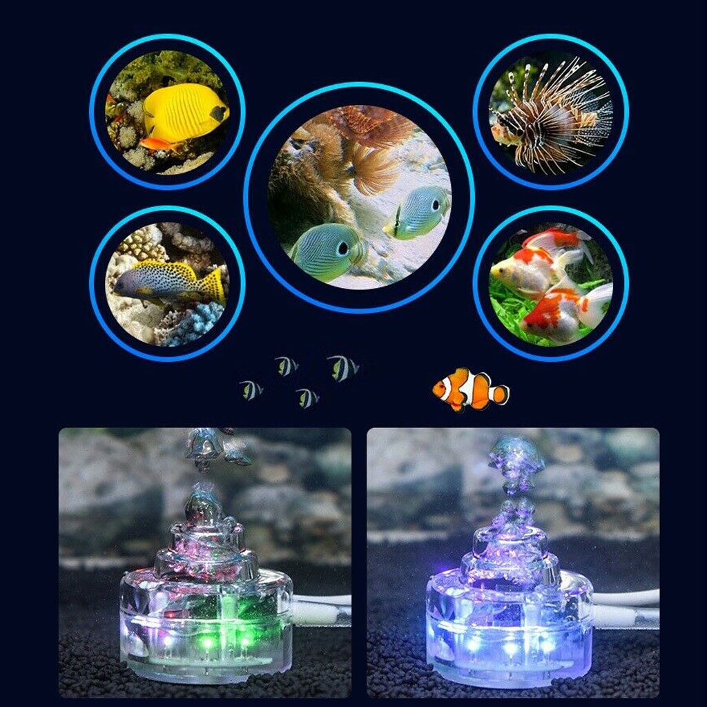 Hond accessoires Aquarium Verlichting Landschapsarchitectuur Decoratieve Verlichting Aquarium Kleurrijke Led-verlichting mascotas accesorios para perros