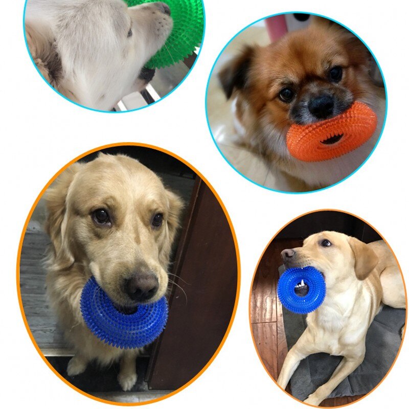 Funny Chew Toy for Golden Retriever Large Dogs Training Thorn Circle Ring Small Dog Toys Sound Interactive Pet Toys