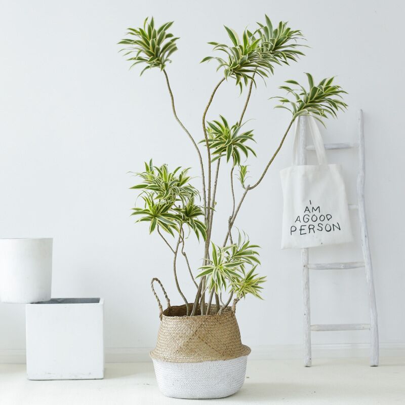 Handmade Woven Storage Basket Folding Clthoes Laundry Basket Straw Wicker Rattan Seagrass Belly Garden Flower Pot Plant Basket