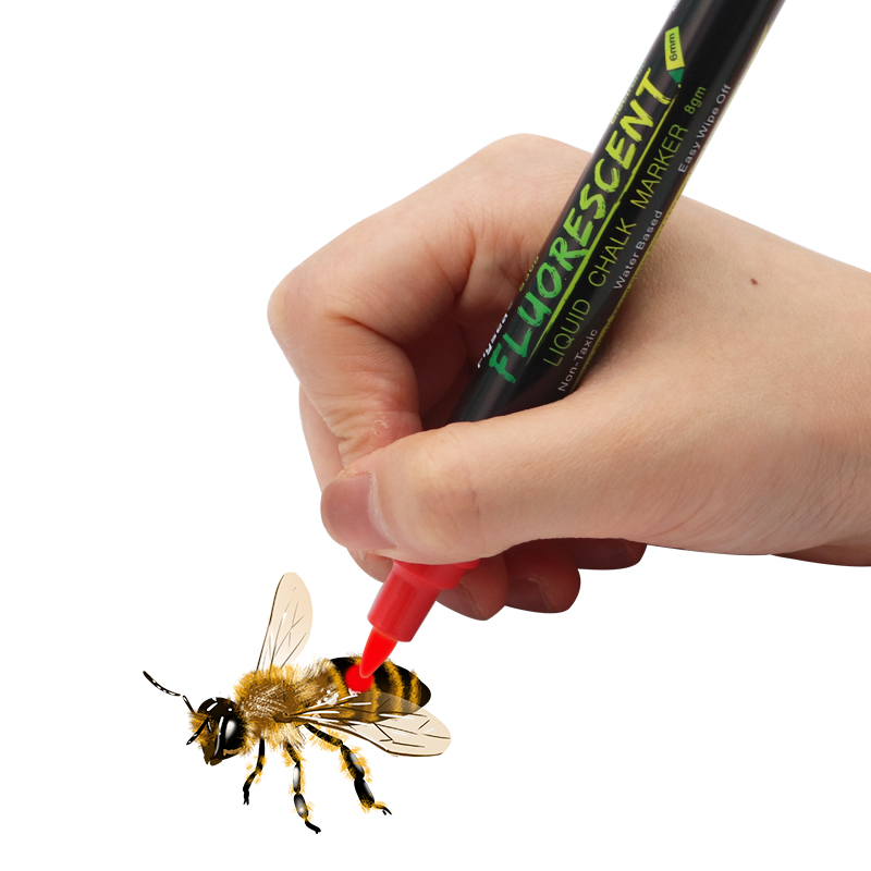 1Pc Queen Bee Marker Pen Bijen Honingbij Markering Markeerstift Bijenteelt Benodigdheden Bijenteelt Apparatuur Penseel Bijenteelt Gereedschappen