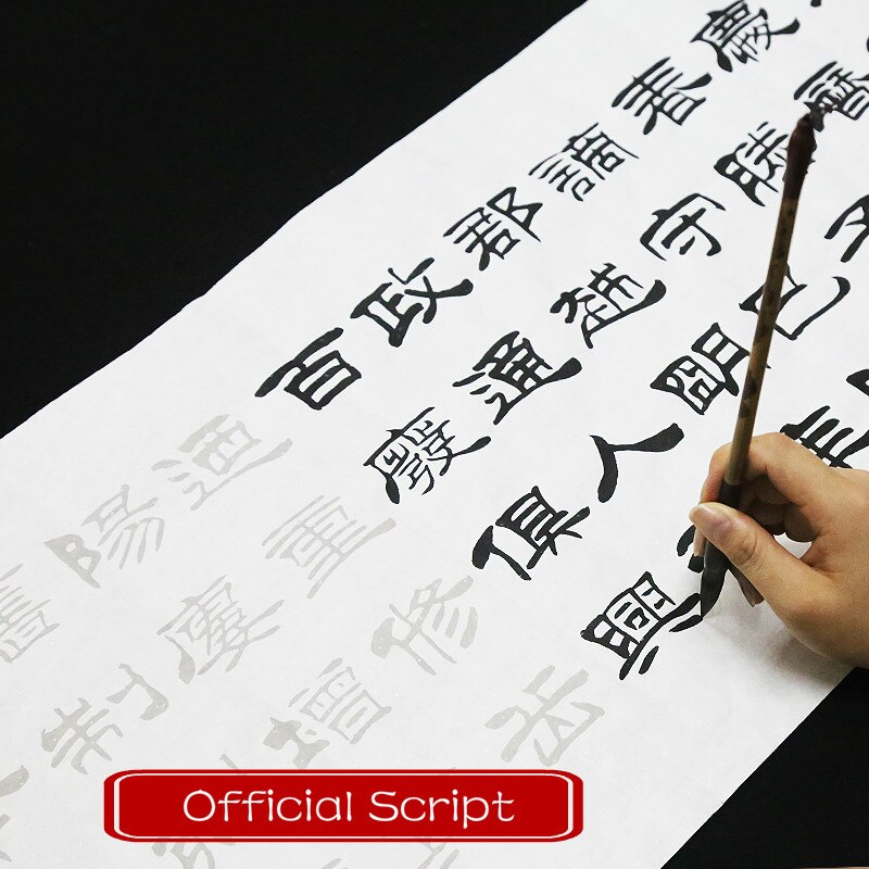 Rijstpapier Schrift Chinese Borstelkalligrafie Praktijk Schrift Volwassen Beginner Liu Bingsen Officiële Script Kalligrafie Copybooks