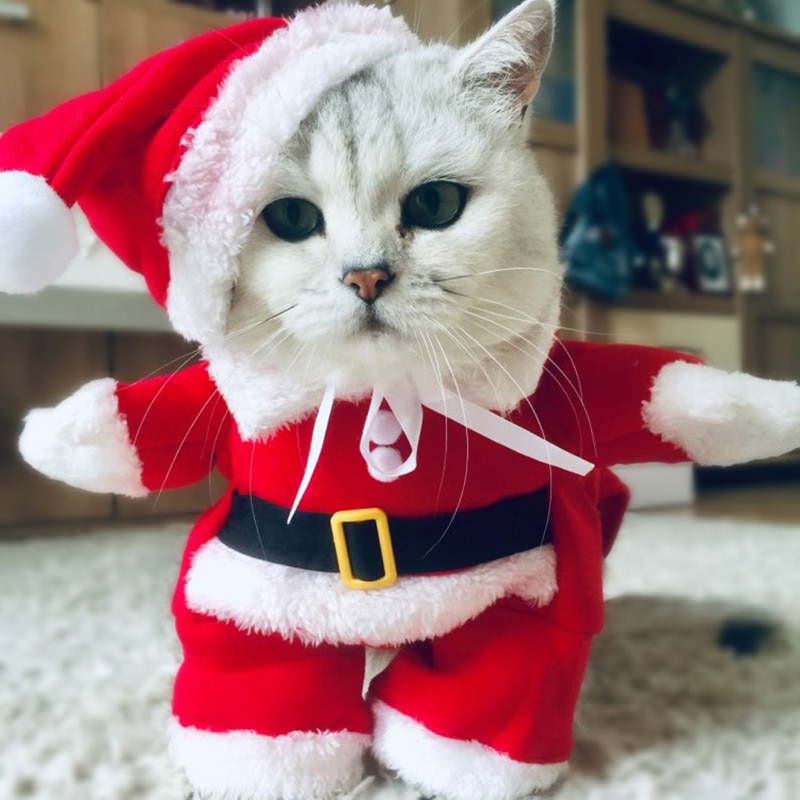 Vinter jul kæledyr kat kostumer sjovt julemandstøj til små katte hunde xmas år kat tøj kitty killing outfits